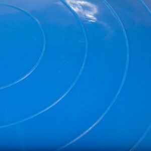 Blue Balance Ball Trainer - Image 4